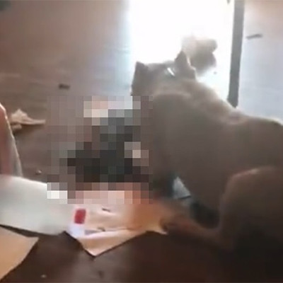 記事紹介