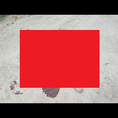 記事紹介