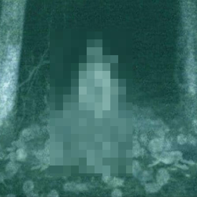 記事紹介