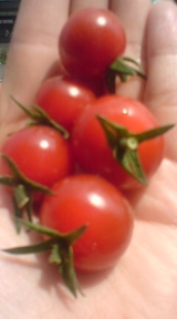 2c9756f1.jpg