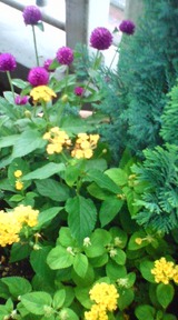 d8f0a409.jpg