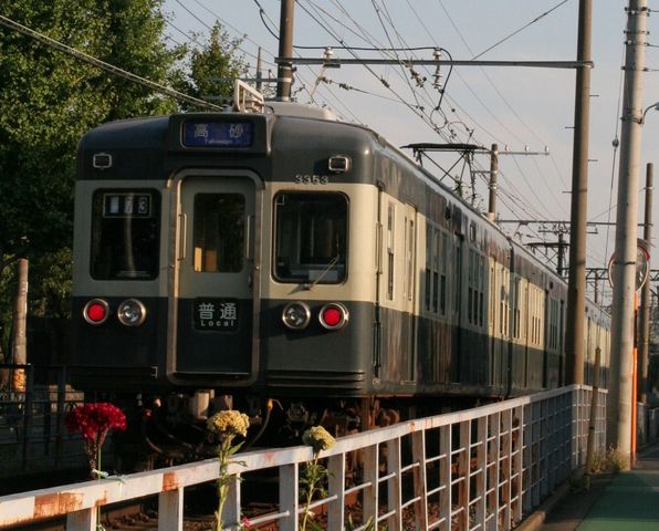 青電ケツ撃ち金町柴又