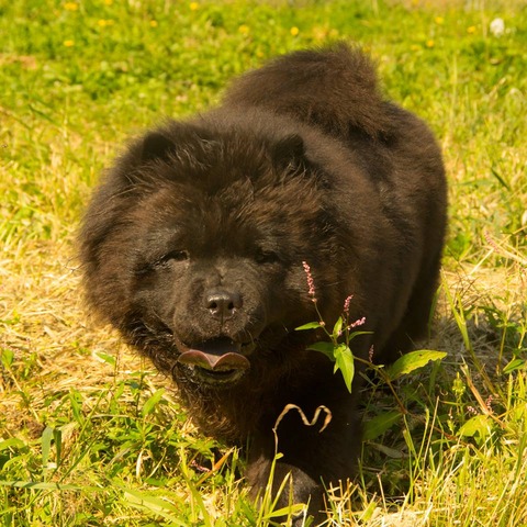 21769779_1651413021598286_31906184_n