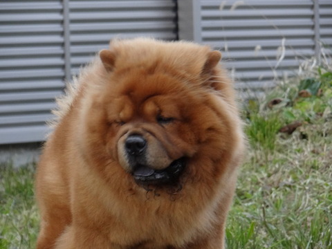DSC04686