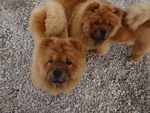 DSC03108