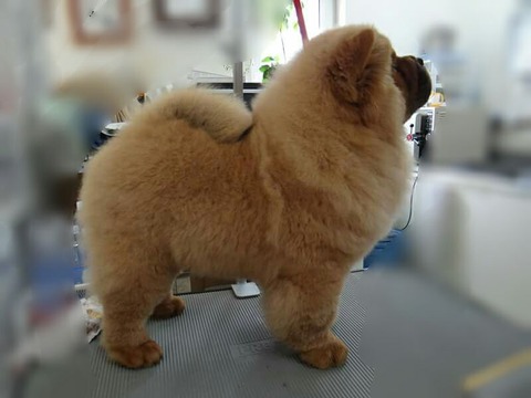 28279947_1812959758738108_9198364119392506251_n