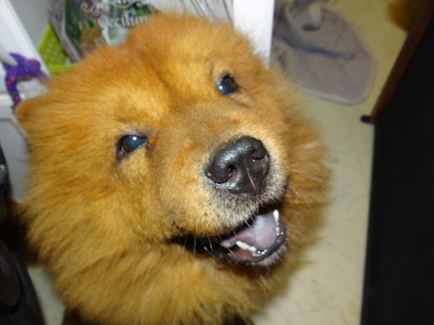 DSC04320
