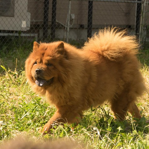 21850662_1651412928264962_1264239119_n