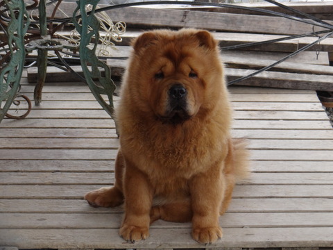 DSC04746