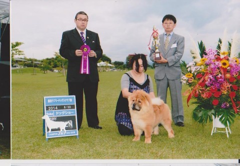 LOURDES AugustShowYamagata2014