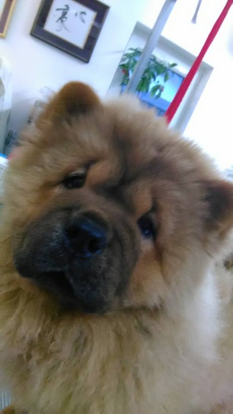 27750006_1797501806950570_1849113617831425216_n