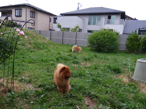 DSC04047