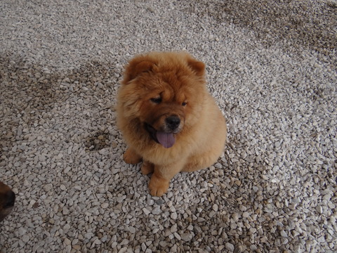 DSC03160