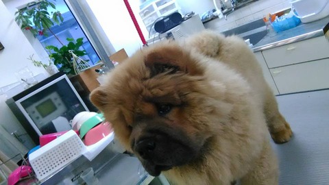 27657846_1797502096950541_3630947882892688807_n