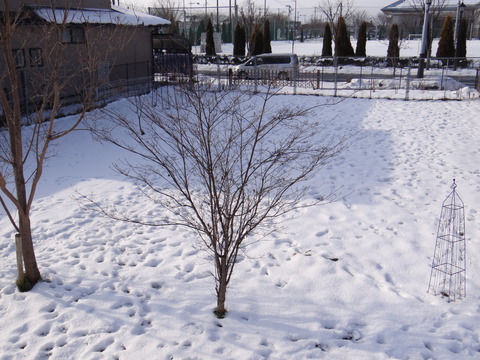 DSC04711