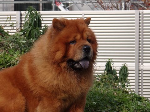DSC04608