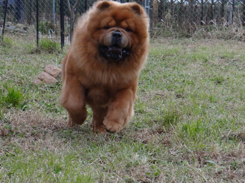DSC04669