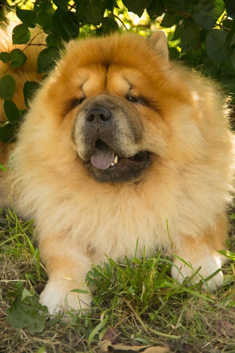 21769733_1651413048264950_1140430526_n