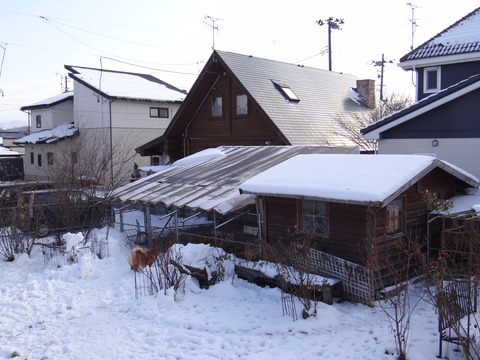 DSC04710