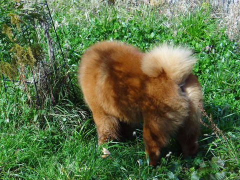 DSC04601