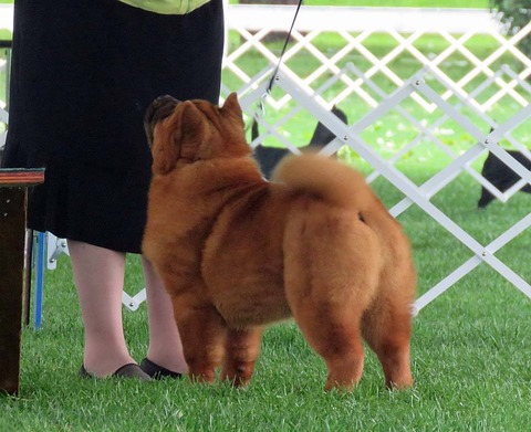 13923452_10153696853372097_1618220067788626958_o