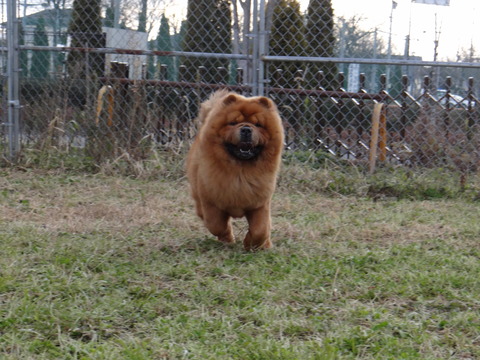 DSC04677