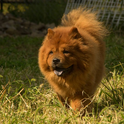 21905463_1651412914931630_983953822_n