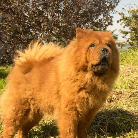 21849213_1651412938264961_753495372_n