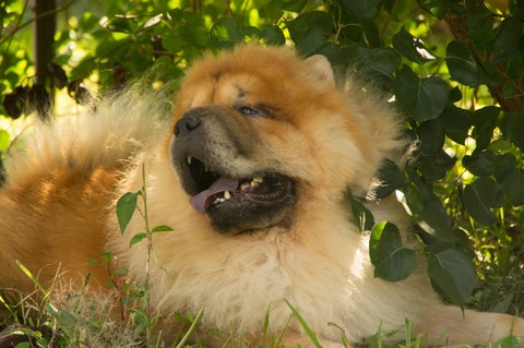 21886729_1651413004931621_1647520914_o