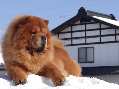 27752078_1797502300283854_6352721990312973365_n