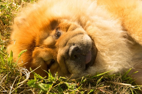 21875606_1651412948264960_768886016_o