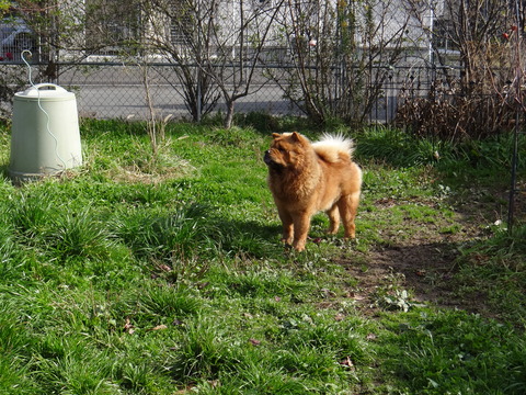 DSC04604