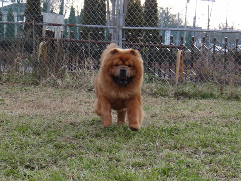 DSC04678