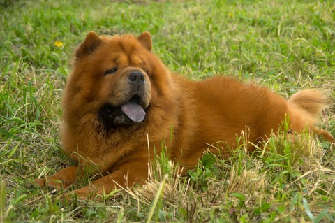 21886634_1651413034931618_1543744538_o