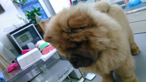 27750527_1797502070283877_2131437206642810434_n