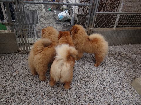 DSC03166