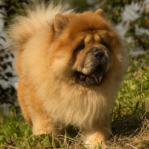 21691392_1651412904931631_91807652_n