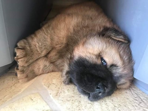 FB_IMG_1511954552231