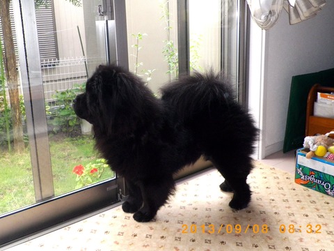 1294451_144446885765749_1795339548_o