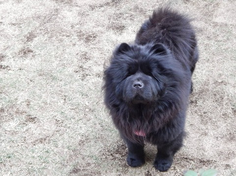 1602034_191285134415257_924913378_o