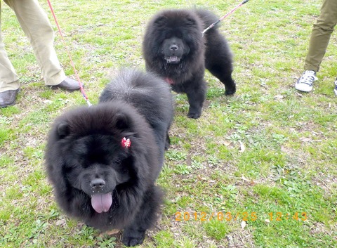 1150572_139744192902685_1986833991_o