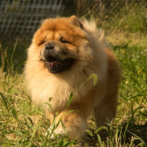 21848969_1651412901598298_929706105_n