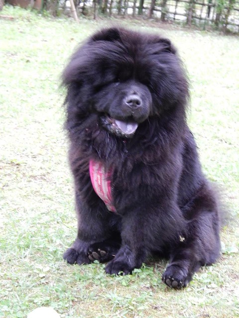 1378483_149709701906134_1906525481_n