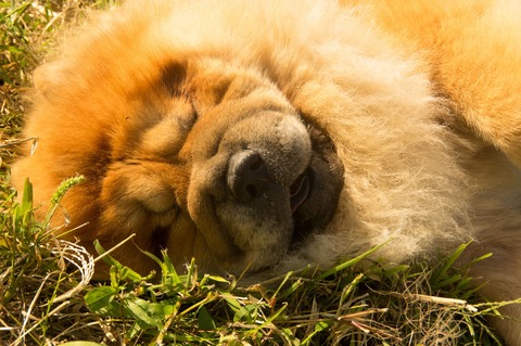 21895169_1651412978264957_985763880_o