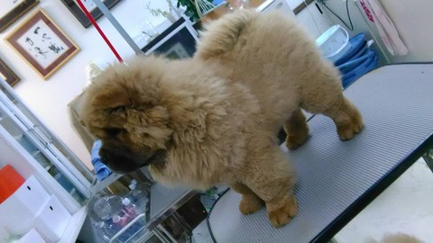 27971648_1797502130283871_5375180030379289043_n