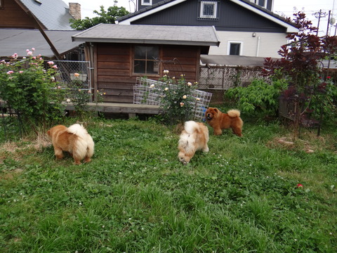 DSC04064
