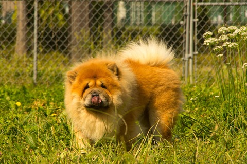 21875530_1651412898264965_602609592_o