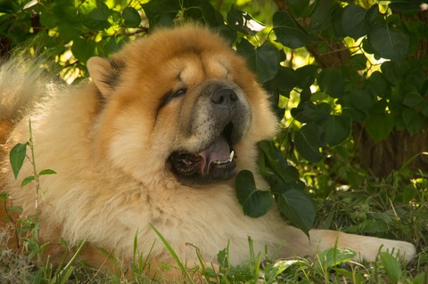 21895116_1651412991598289_1408016411_o