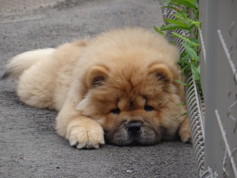 DSC05116