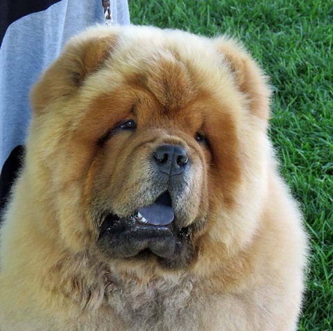 14022370_10153696852712097_8462355861326174046_n